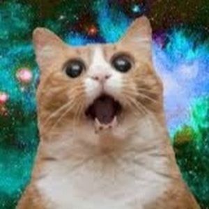 Meet your Posher, Gray